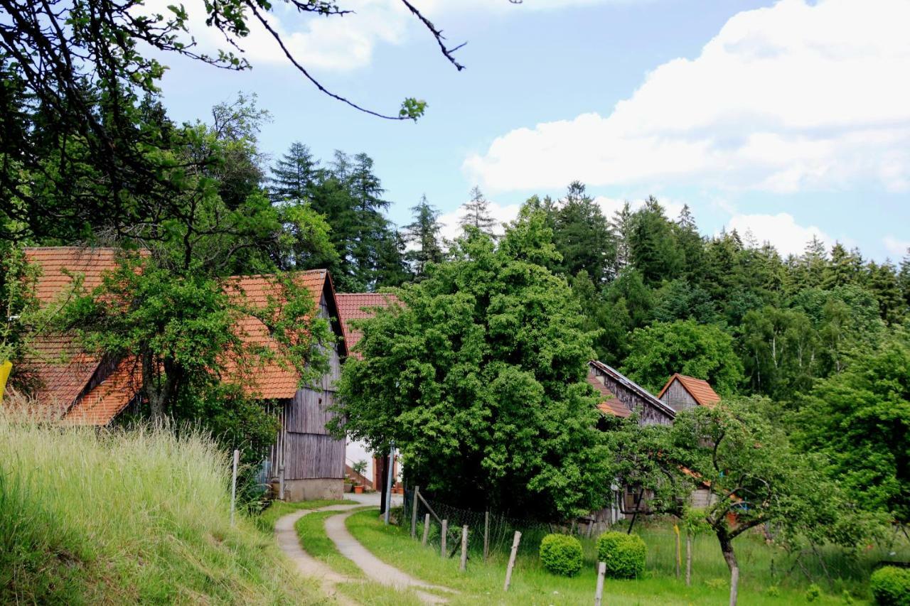 UrlaubsRaum Apartment Heiligkreuzsteinach Exterior foto